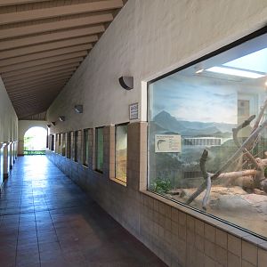 Discovery Outpost - Reptile House - Viewing Arcade