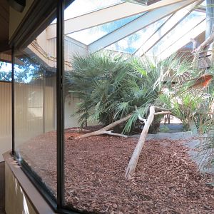 Discovery Outpost - Reptile House - Komodo Dragon Exhibit