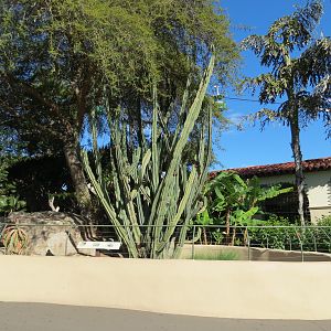 Discovery Outpost - Tortoise and Lizard Exhibit