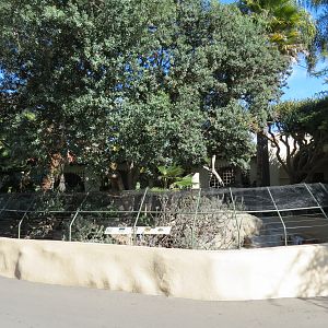 Discovery Outpost - Tortoise and Lizard Exhibit