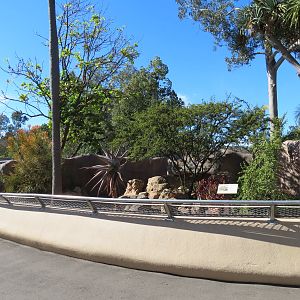 Discovery Outpost - Southern Leopard Tortoise Exhibit