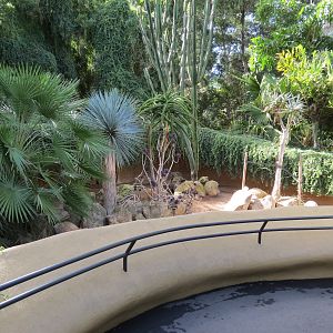 Discovery Outpost - African Spurred Tortoise Exhibit