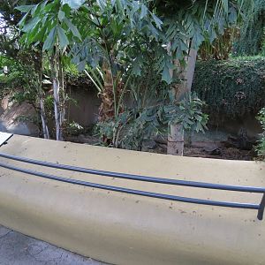 Discovery Outpost - Brown Tortoise Exhibit