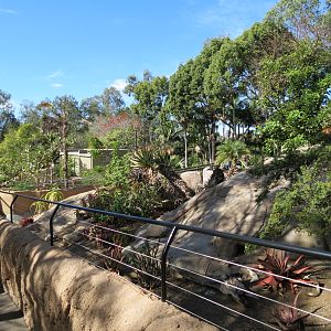 Discovery Outpost - Southern Leopard Tortoise Exhibit
