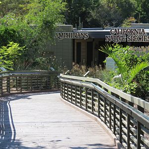 Discovery Outpost - Reptile Walk - Entrance