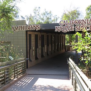 Discovery Outpost - Reptile Walk - Entrance