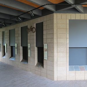 Discovery Outpost - Reptile Walk - California Native Species Exhibits