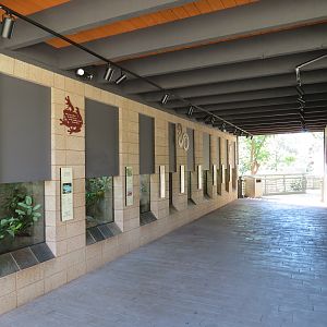 Discovery Outpost - Reptile Walk - Amphibians Exhibits