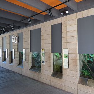 Discovery Outpost - Reptile Walk - Amphibians Exhibits