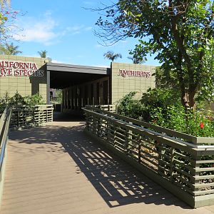 Discovery Outpost - Reptile Walk- Walkway