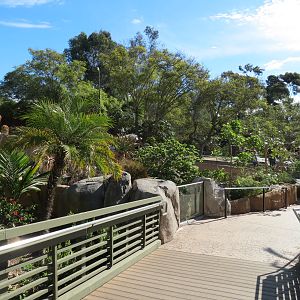 Discovery Outpost - Reptile Walk- Walkway
