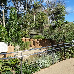 Discovery Outpost - Reptile Walk- Chinese Alligator Exhibit