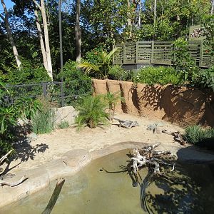 Discovery Outpost - Reptile Walk- Chinese Alligator Exhibit
