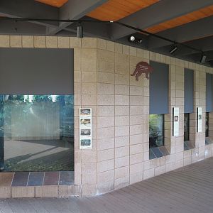 Discovery Outpost - Reptile Walk- Turtles Exhibits