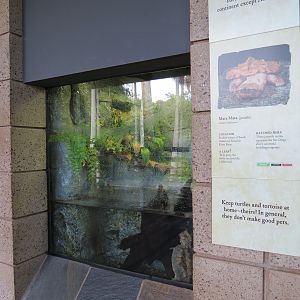 Discovery Outpost - Reptile Walk - Mata Mata Exhibit