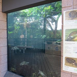 Discovery Outpost - Reptile Walk - Turtle Exhibit