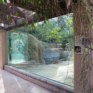 Discovery Outpost - Johnston's Crocodile and Turtles Exhibit