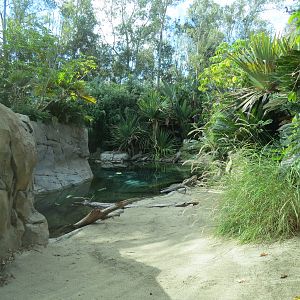 Discovery Outpost - Johnston's Crocodile and Turtles Exhibit