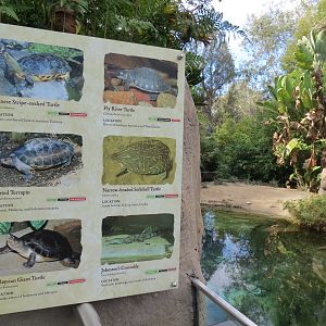 Discovery Outpost - Johnston's Crocodile and Turtles Exhibit