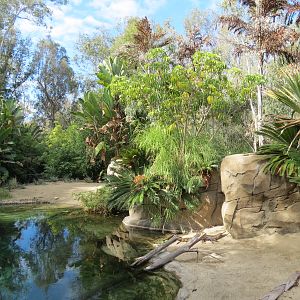 Discovery Outpost - Johnston's Crocodile and Turtles Exhibit