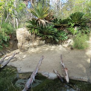 Discovery Outpost - Johnston's Crocodile and Turtles Exhibit