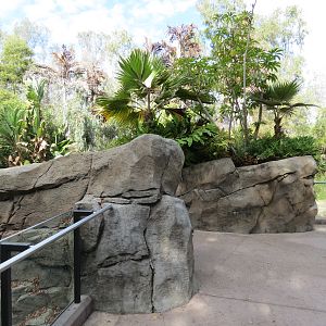 Discovery Outpost - Johnston's Crocodile and Turtles Exhibit