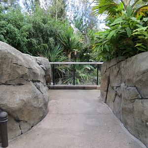 Discovery Outpost - Johnston's Crocodile and Turtles Exhibit