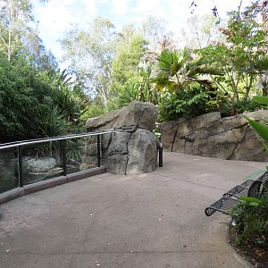 Discovery Outpost - Johnston's Crocodile and Turtles Exhibit