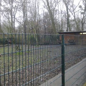 2013-12 Hamm Defassa waterbuck