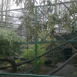 2013-12 Hamm Fossa enclosure