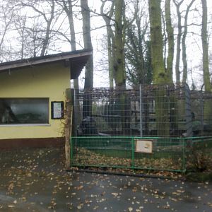 2013-12 Hamm Pattas monkey enclosure