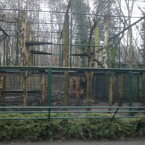 2013-12 Hamm Sri Lanka Leopard cage