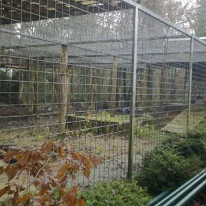 2013-12 Hamm demolished lion enclosure