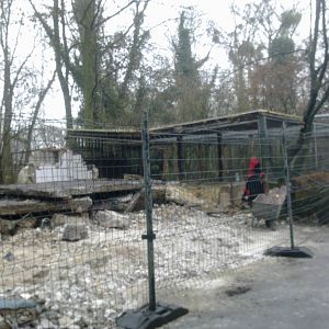 2013-12 Hamm demolished lion house