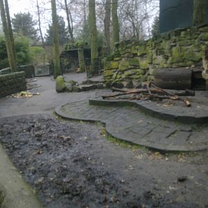 2013-12 Hamm porcupine exhibit