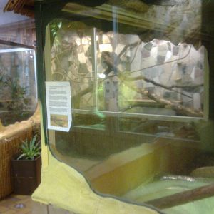 2013-12 Hamm Reptile House