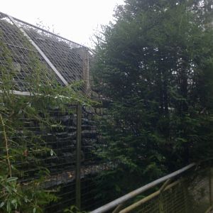 2013-12 Hamm japanese macaque