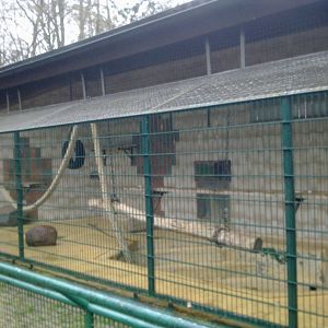 2013-12 Hamm monkey house