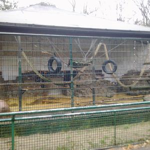 2013-12 Hamm monkey house