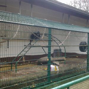 2013-12 Hamm monkey house