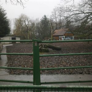 2013-12 Hamm Zebra exhibit