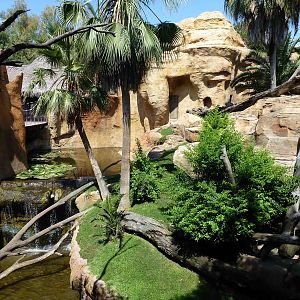 Gorilla enclosure, July 2013.