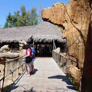 Bridge between ape enclosures, July 2013.