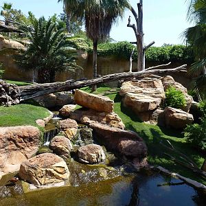Gorilla enclosure, July 2013.