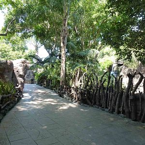 Path towards Asia, July 2013.