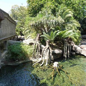 Sturgeon pool with Asian animal enclosures, July 2013.