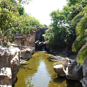 View across tapir enclosure, July 2013.