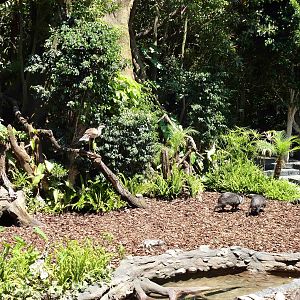 Daytime show, July 2013.