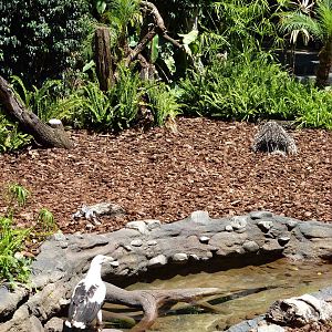 Daytime show, July 2013.