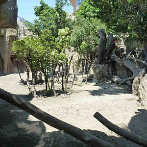Philippine spotted deer enclosure, July 2013.
